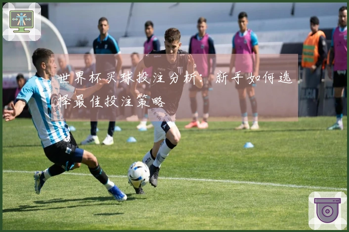 世界杯买球投注分析：新手如何选择最佳投注策略