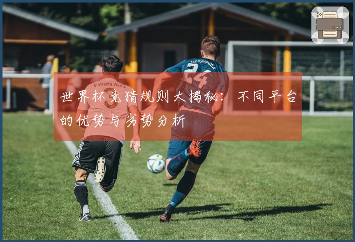 世界杯竞猜规则大揭秘：不同平台的优势与劣势分析
