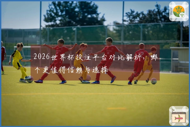 2026世界杯投注平台对比解析，哪个更值得信赖与选择